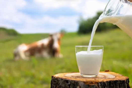You're Drinking Your Milk All Wrong... – Taste of the Wind