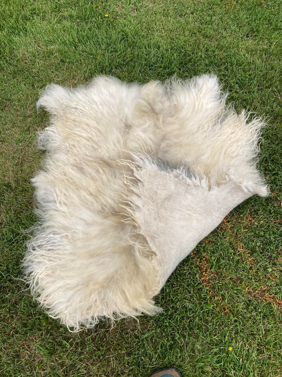 Icelandic Wool Felted Pelt (Custom-Made to Order) – Taste of the Wind