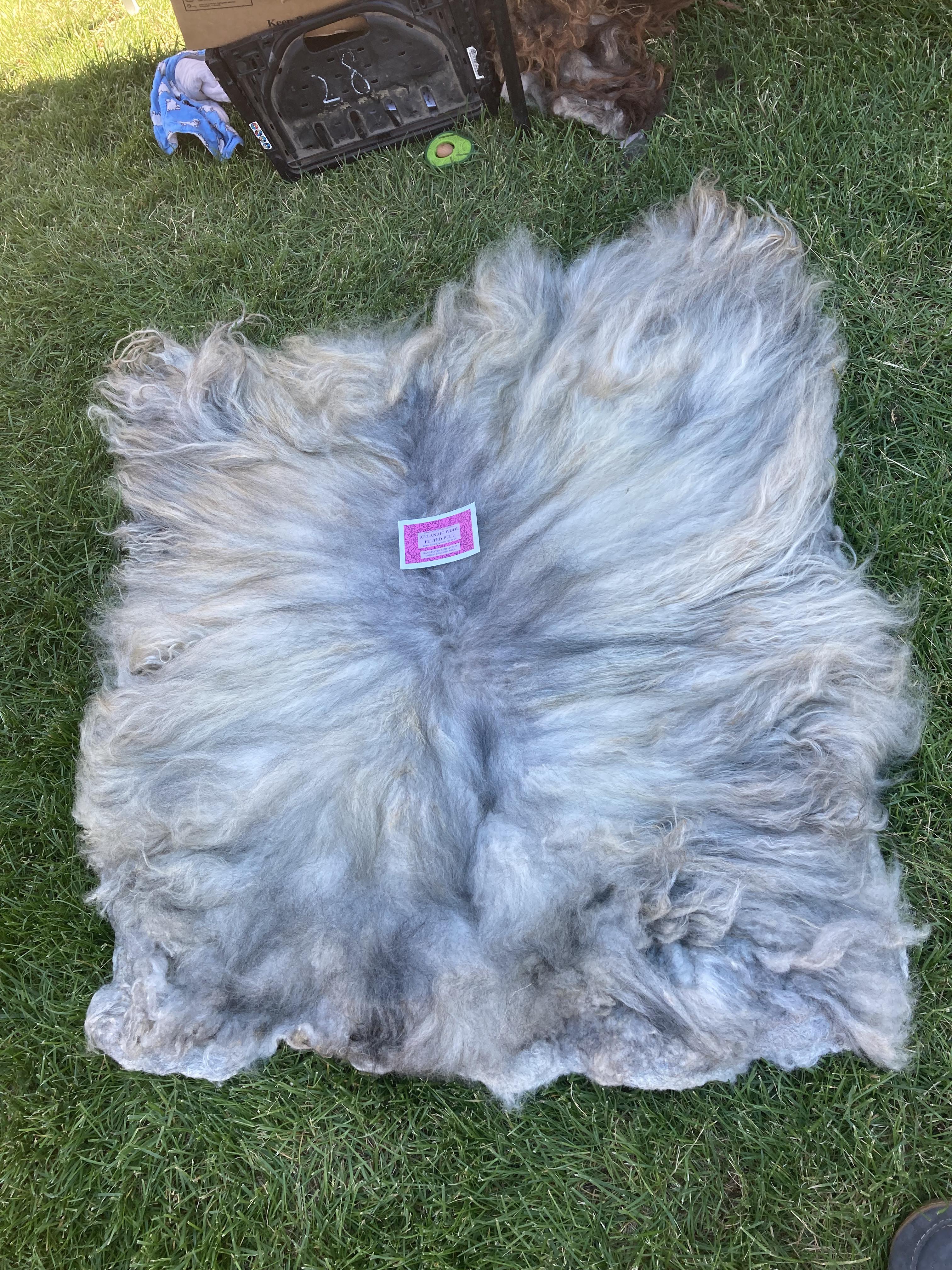 Icelandic Wool Felted Pelt (Custom-Made to Order) – Taste of the Wind